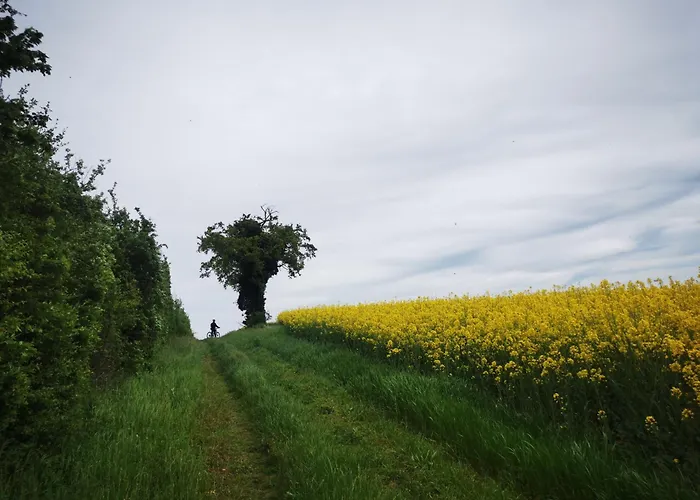 Le Petit Saugnieu